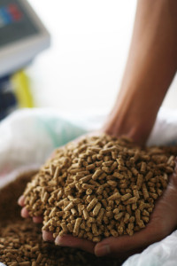 animal feed affects food