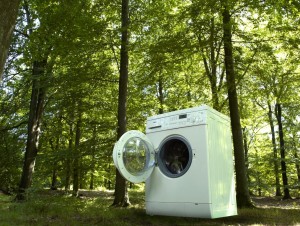 Green Wash by Novozymes detergent enzymatic technology